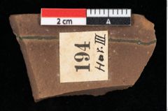 Foto (Detailansicht) von Pinus palaeostrobus Ettingshausen (NHMW-GEO-2024-0188-0194)